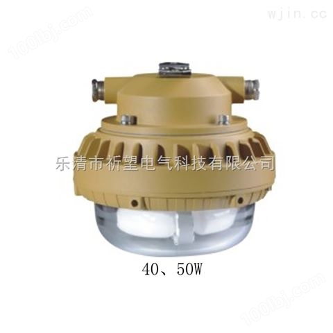 LED-100W防爆免维护照明灯QWD110-100W