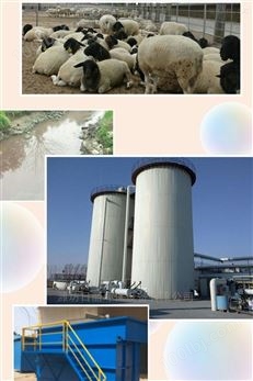 河北肉羊养殖场污水处理设备RL-UASB反应器